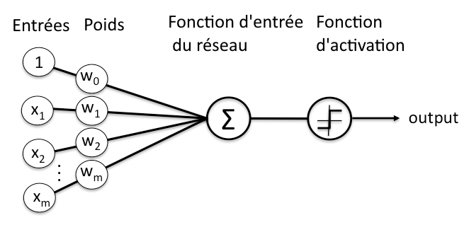 Représentation schématique d'un neurone dans un réseau de neurones